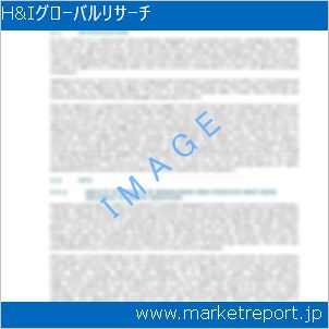 市場と産業調査レポートのイメージ